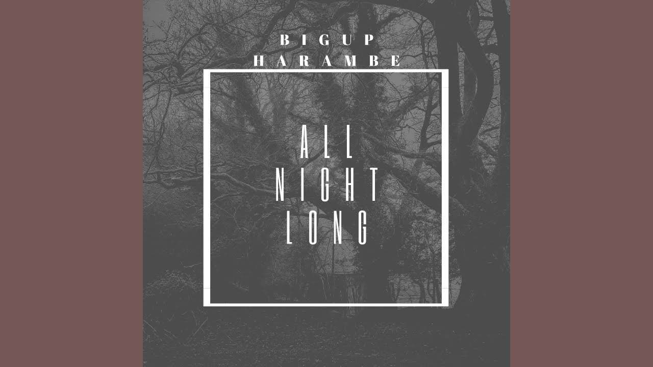 BigUp Harambe – All Night Long mp3 download